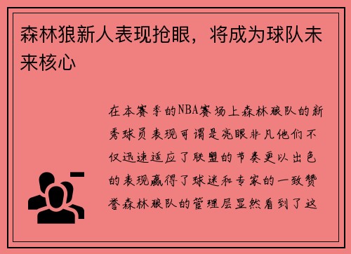 森林狼新人表现抢眼，将成为球队未来核心